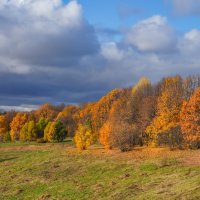 Палитра октября... :: Владимир Жданов