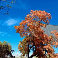 Ростовская осень :: Нина Бутко Ростовская осень :: Нина Бутко