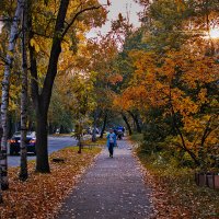 Прощальная краса :: Людмила Фил