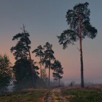 В туман ... :: Roman Lunin