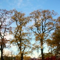 Октябрь :: Наталья Герасимова Октябрь :: Наталья Герасимова