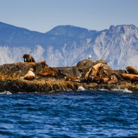 ... :: Жора Житников