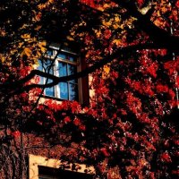 Осень 1 :: Алексей Кузнецов