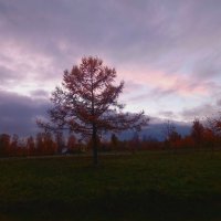 Закат :: Сапсан 