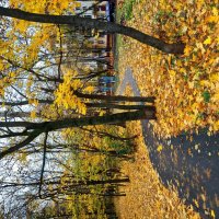 Осень в городе :: Андрей Лукьянов