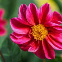 *** :: Виктор Иванович Чернюк *** :: Виктор Иванович Чернюк