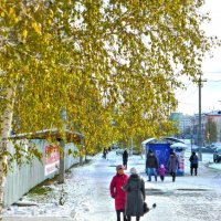 Октябрь...Первозимье в Нефтеюганске. :: Владимир 