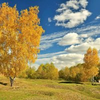 Осень :: Владимир Зыбин