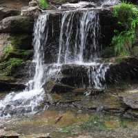 Радуга-парк :: Елена Шаламова Радуга-парк :: Елена Шаламова