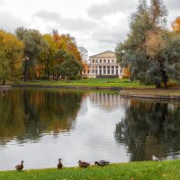 *** :: Александр Кислицын