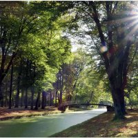 Скоро осень, за окнами август, От дождя потемнели кусты, :: "The Natural World" Александер Скоро осень, за окнами август, От дождя потемнели кусты, :: "The Natural World" Александер