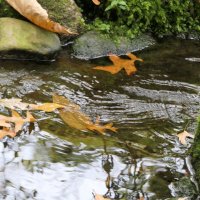 Нам казалось - бесконечно будет лето, Нам казалось - будет жизнь теплом согрета, :: "The Natural World" Александер