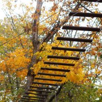 Для детворы :: Юрий Гайворонскiий