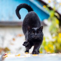 Потягушки :: Владимир Иванович Потягушки :: Владимир Иванович