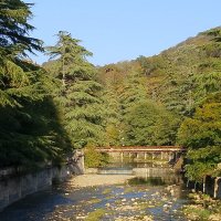 РЕКА МАЦЕСТА :: Tata Wolf