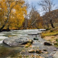 *** :: Алексей Мезенцев