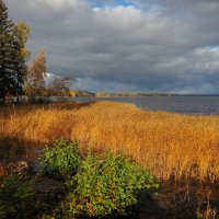 В парке Монрепо :: Магомед .
