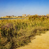 Берег Каспия :: Анатолий Чикчирный Берег Каспия :: Анатолий Чикчирный