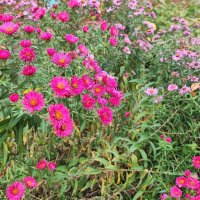 ,,, :: Сергей Тимоновский