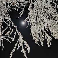 Луна и Юпитер :: Anna Ivanova Луна и Юпитер :: Anna Ivanova