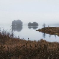 Утро туманное :: Сергей l Утро туманное :: Сергей l