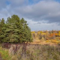 Палитра октября... :: Владимир Жданов Палитра октября... :: Владимир Жданов