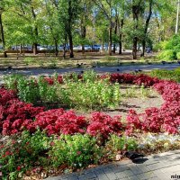 Ростовская осень :: Нина Бутко