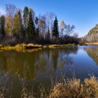 Полдень на октябрьской реке. :: Юрий кот