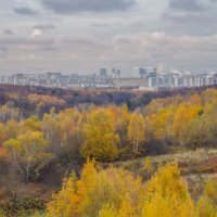 Московская осень... :: Владимир Жданов