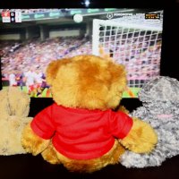 Острый момент. :: Василий Палий