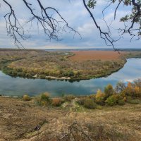 "Подкова" Дона в Кривоборье :: Татьяна Машошина