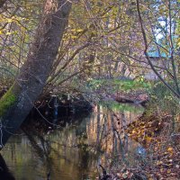 *** :: gawrilа - dan *** :: gawrilа - dan