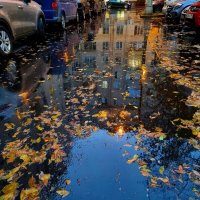 Золотой октябрь :: Татьяна [Sumtime]