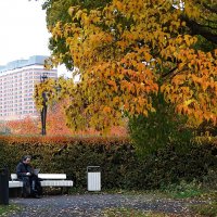 Осень в Москве :: svk *