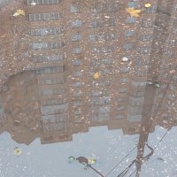 лужа :: Артём 