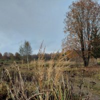 увядание :: Артём 