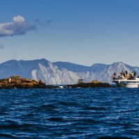 ... :: Жора Житников