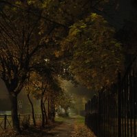 Осень. Утро. Туман :: Dar(k) Life Осень. Утро. Туман :: Dar(k) Life