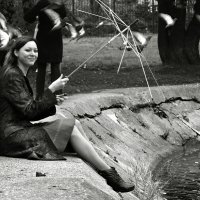 Летите, голуби, летите... :: СЮ 