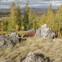 Горный лес :: Андрей Хлопонин