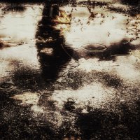 ...грусть осенняя... :: Георгий Никонов ...грусть осенняя... :: Георгий Никонов