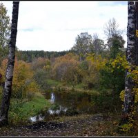 *** :: Aleksandr Gal