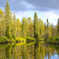 Осенний затон. :: юрий Амосов