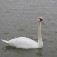 Новороссийск в марте :: Елена Шаламова