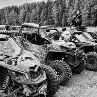 Баги :: Андрей Город