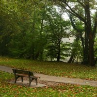 Осенняя скамейка :: Юрий. Шмаков