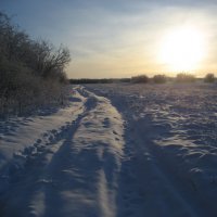 Зимнее солнце :: Anna Ivanova