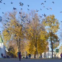 Сергиев Посад :: Ольга 