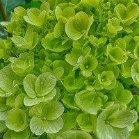 ... :: Наталья