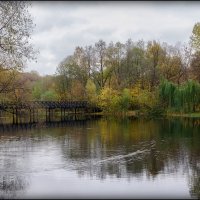 Один день осени :: Серый 